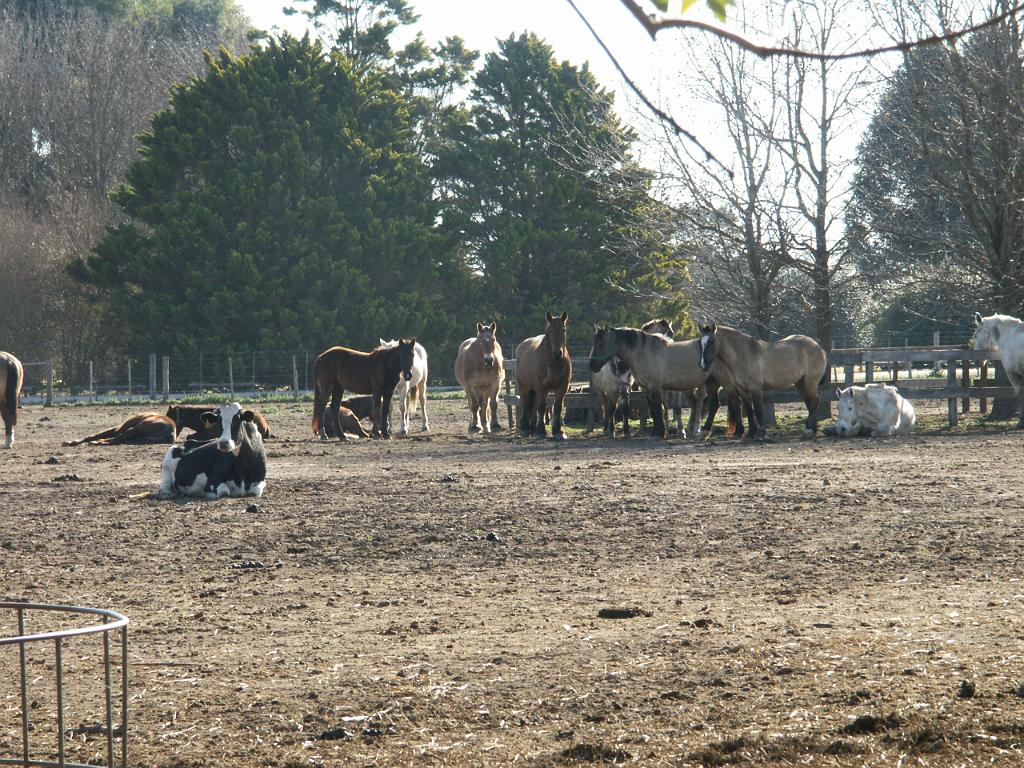 090809_San_Ceferino 043.jpg